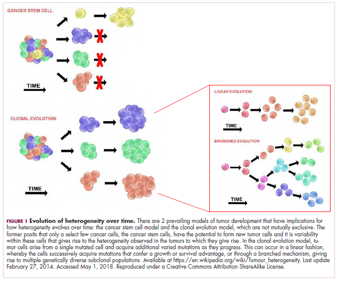 Tumor Heterogeneity A Central Foe In The War On Cancer Journal Of Clinical Outcomes Management 8338